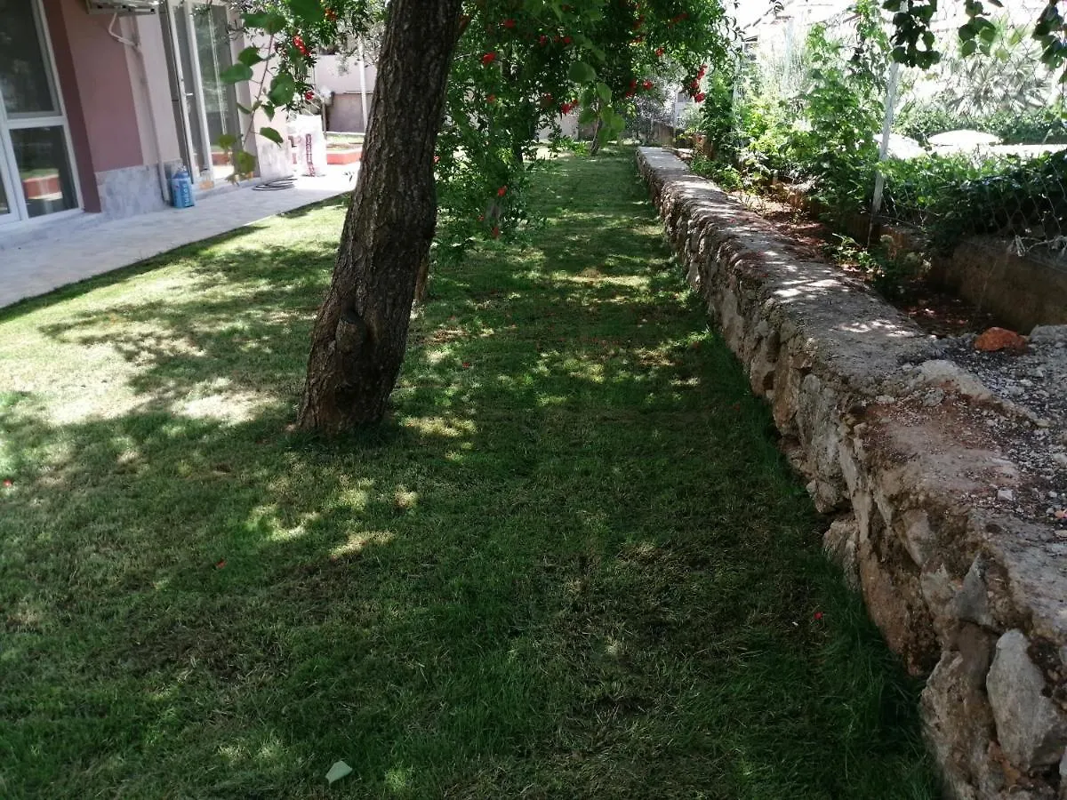Oda ve Kahvaltı Bella Rose Hotel Cedit Türkiye